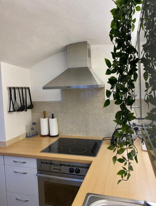 Spacious Flat In The Most Desirable Area Of Londýn Exteriér fotografie